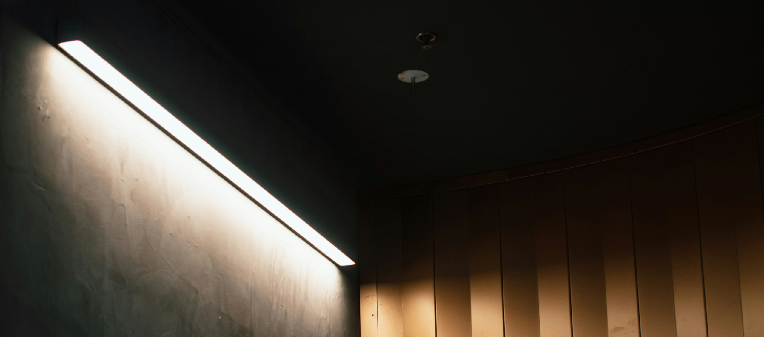 meritt thomas bapkjlclteo unsplash